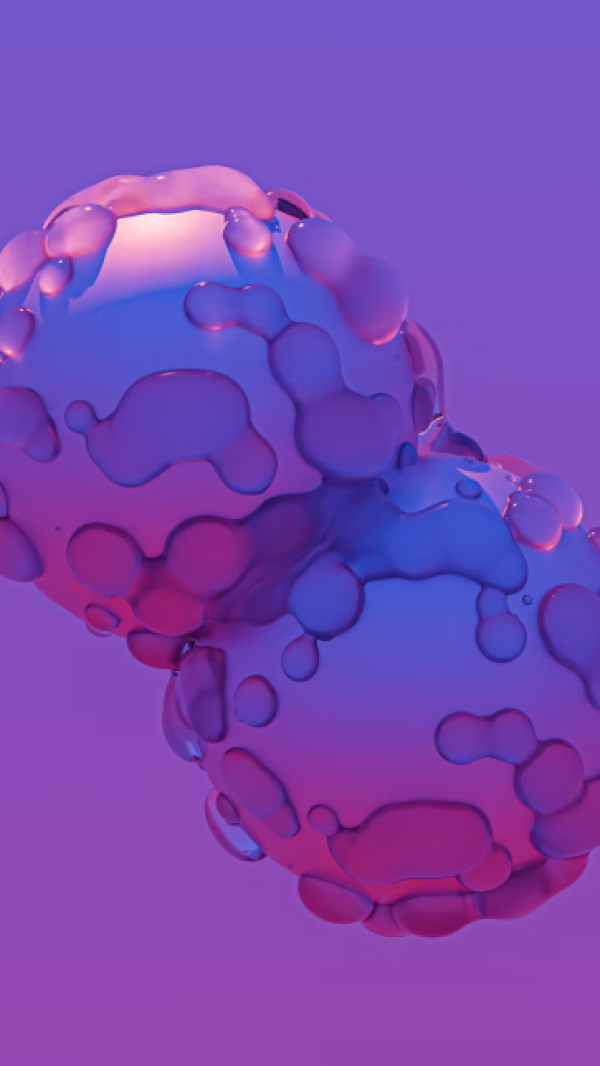 Video aprasymas (reikia backo kad prideti video aprasyma prie nuotraukos ikelimo)