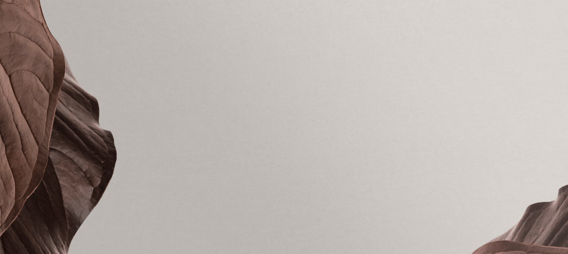 Prie „InSense Clinic“ Kauno komandos prisijungė gydytoja Diana Maldžiūtė